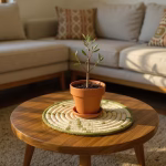 Eco-friendly straw placemat protecting a coffee-table while showcasing a potted olive sapling