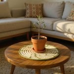 Natural straw kitchenware placemat protecting wooden table with potted plant in terracotta pot centerpiece