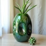 Green ceramic vase handmade with flowing curves holding succulent stems in minimalist setting