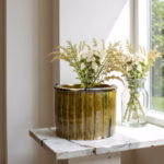 Amber Tamegroute ceramic planters with fresh greenery by window