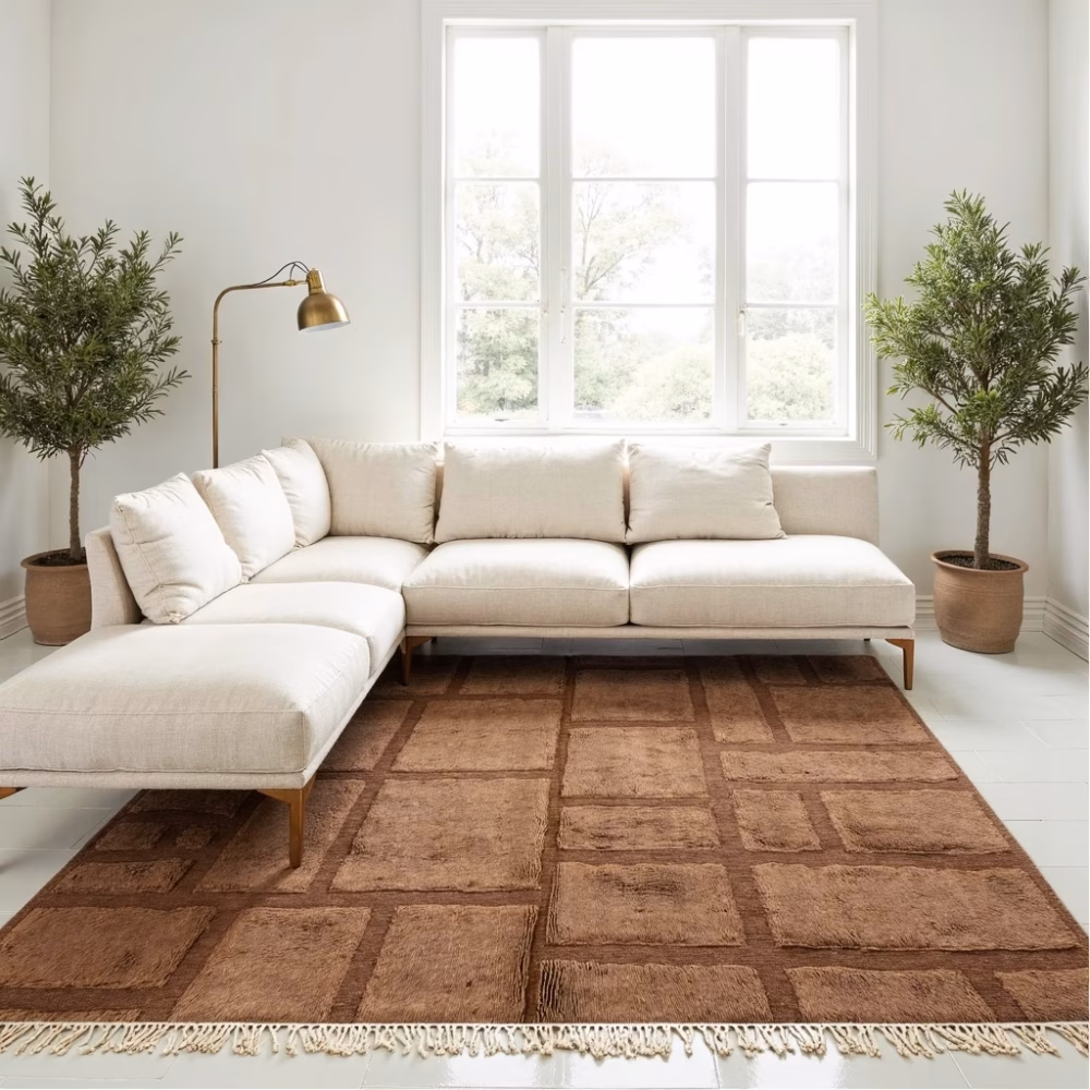 Brown Moroccan rug in modern living room