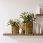 Collection of Moroccan planters styled on wooden shelf