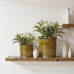 Two sizes of Moroccan ceramic planters with vertical ribbing and scalloped rims displayed with white bottles on shelf