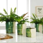 Moroccan ceramic plant pots in green glaze with ferns displayed on bright white surface near window