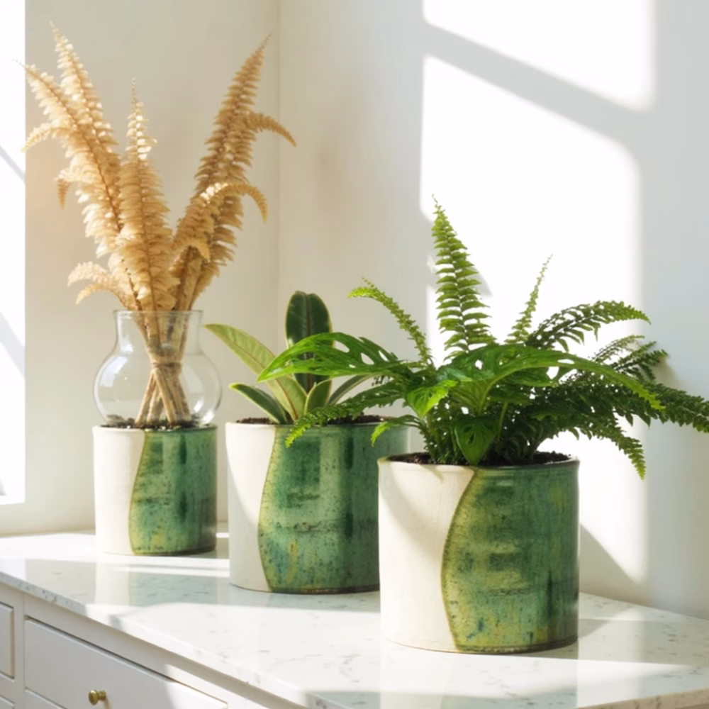 Green ceramic plant pots with ferns and dried pampas arrangement