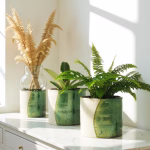 Green ceramic plant pots with ferns and dried pampas arrangement