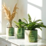 Three Tamegroute ceramic plant pots with organic green glaze holding ferns and dried florals on counter