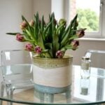 Ceramic indoor planters with striped glaze holding fresh tulips on glass table