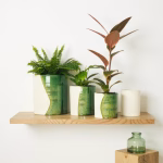 Set of green glazed planters on wooden shelf with greenery
