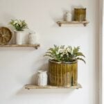 Olive-glazed ceramic planter with scalloped rim and vertical texture on rustic shelf with white decorative pottery