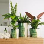 Tamegroute pottery plant pots styled in bathroom with towels