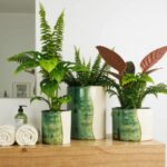 Moroccan ceramic plant pots with reactive green glaze holding tropical foliage in modern bathroom setting