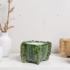 candle in ceramic Green bowl with leaf pattern on white surface